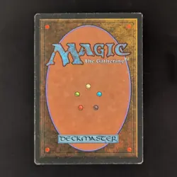 MTG \>> Scrubland (LP) <<// Foreign Black Bordered - 341 Trading - Magic - Image 2