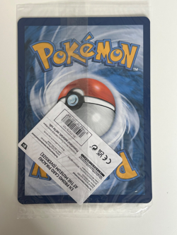 Pokemon X Natural History Museum Promo Card Pikachu At The Museum + Ecology Book - Image 3