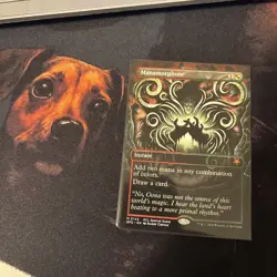 Mtg Manamorphose Borderless - Special Guests + Bonus Foils - Image 1
