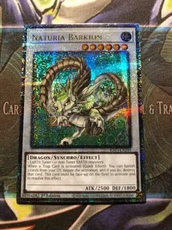 * NATURIA BARKION * 1ST EDITION QUARTER CENTURY SECRET RARE RA03-EN243 YUGIOH - Image 1