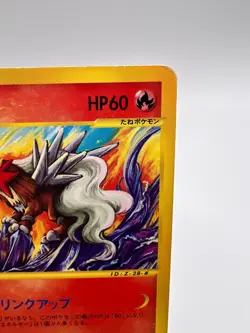 Pokemon Card Entei 043/P JR Happy Adventure Rally Promo Japanese. - Image 3