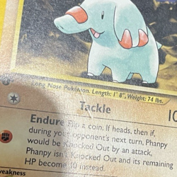 Phanpy - 43/111 - Uncommon 1st Edition - Neo Genesis - Pokemon Card - HP - Image 4