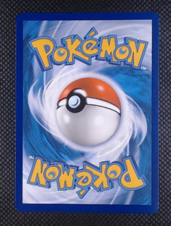 Eevee 173 Black Star Promo Card - Scarlet & Violet - Holo Pokemon TCG NM - Image 2