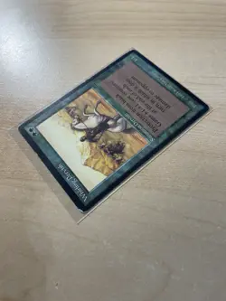 Whirling Dervish Legends Regular - Image 5