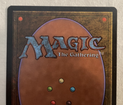 1x Lake of the Dead Alliances MTG Magic the Gathering NM - Image 5