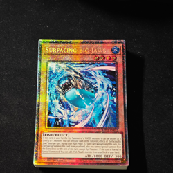 Lotto Carte Yu-Gi-Oh! SURFACING BIG JAWS MP25-EN012 - Image 1