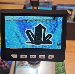 1x Rhystic Study Prophecy Non-Foil - Image 3