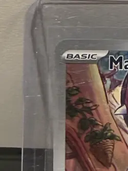 Mawile 246/217 Illustration Rare Ascended Heroes Holo English Near Mint Pokemon - Image 2