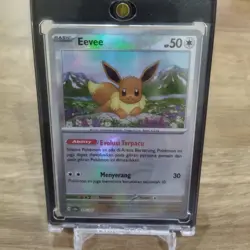 Pokeball Rare Eevee evolution Collection Terastal Fest Pokemon TCG Indonesia - Image 3