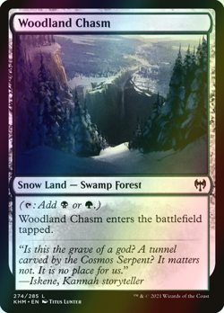 MTG Woodland Chasm Foil ** Kaldheim ** English - Image 1