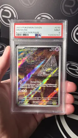 Pokemon TCG Drowzee Scarlet & Violet Base Set 210/198 Illustration Rare PSA 9 - Image 1
