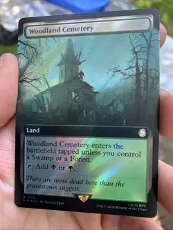 Woodland Cemetery Extended Art Surge Foil - PIP 1056 - NM - MTG Magic - Image 1