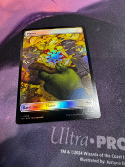 Plains (0253) - Foil - Teenage Mutant Ninja Turtles - NM MTG - Image 1