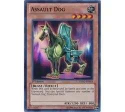 Yugioh - Assault Dog (Super Rare) (1st Edition) - DRLG-EN033 P - Image 1