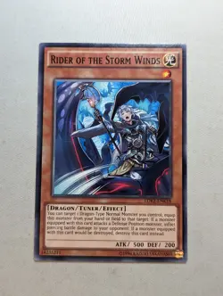 Rider of the Storm Winds Common Yugioh Card LDK2-ENK18 - Image 1