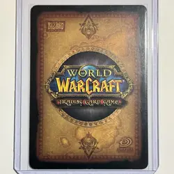 World of Warcraft Skorn Mistress of Shadow #259 Azeroth TCG Rare NM/Mint - Image 2