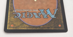 MTG Primal Rage Tenth Edition X #286/383 Regular Uncommon LP - Image 5