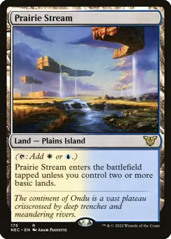 Prairie Stream nd Mtg Magic English NM - Image 1