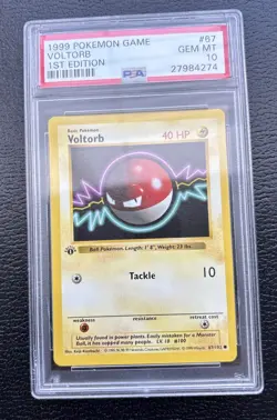 Pokemon Voltorb Base Set Shadowless 1st Edition #67 PSA 10 Gem Mint - Image 1