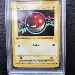 Pokemon Voltorb Base Set Shadowless 1st Edition #67 PSA 10 Gem Mint - Image 3