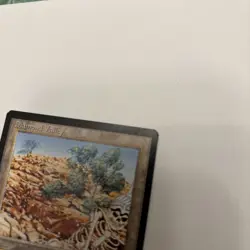 MTG Diamond Valley Arabian Nights Magic The Gathering Card - Image 3