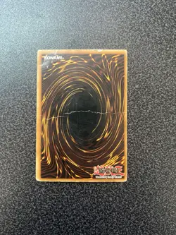 Yu-Gi-Oh Dark Paladin Limited Edition Secret Rare Promo Card DMG-001 [HP] - Image 2