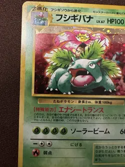 Pokemon Venusaur Bulbasaur Deck Holo Near Mint JAP JAPANESE (like CD promo) - Image 3
