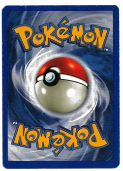 Pokemon Card: Shining Noctowl 110/105 Neo Destiny Set Vintage Ultra Rare! PL - Image 2
