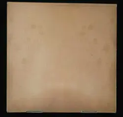 RARE Magic The Gathering x TMNT Pizza Box New York Comic Con 2025 Exclusive - Image 2