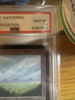 PSA 10 1993 Magic: the Gathering Plains CE MtG WOTC - Image 2