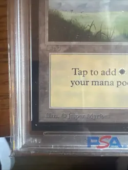 PSA 10 1993 Magic: the Gathering Plains CE MtG WOTC - Image 5
