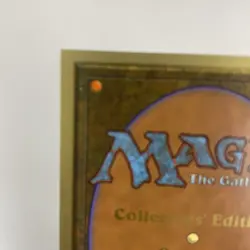 Fastbond x (1) MTG - Collectors' Edition (CE) - EX/NM - Image 3