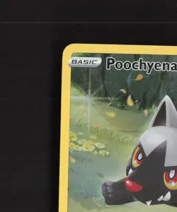 Poochyena GG33/GG70 Crown Zenith Full Art Ultra Rare Holo Pokemon Card LP+ - Image 3