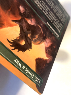 MTG Life Finds a Way BORDERLESS Jurassic World Collection 0005 NM - Image 5