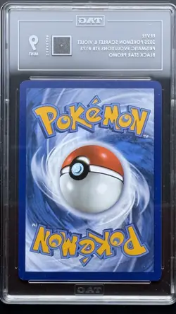 Pokemon TCG Eevee SVP 173 Black Star Promo TAG Mint 9 - Image 2