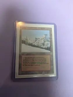 Magic the Gathering Taiga Revised Edition Dual Land Regular Card - Image 1