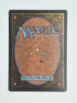 MTG NORTHERN PALADIN (edge ding) Unlimited Edition EX Rare Magic The Gathering - Image 2