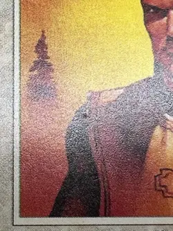 MTG NORTHERN PALADIN (edge ding) Unlimited Edition EX Rare Magic The Gathering - Image 5