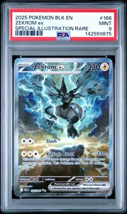 2025 POKEMON BLK EN-BLACK BOLT SPECIAL ILLUSTRATION RARE #166 ZEKROM EX PSA 9 - Image 1