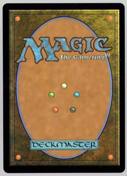 Kite Shield 210/249 Non Foil The List Reprints MTG Near Mint - Image 2