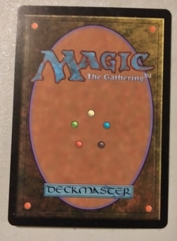 Rhystic Study. Prophecy. NM to LP. Free Shipping. - Image 2