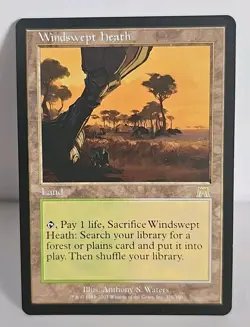 Mtg 🌟🌟 Windswept Heath 🌟🌟 Onslaught 🔥 RARE 🔥 MT/NM Magic The Gathering - Image 1