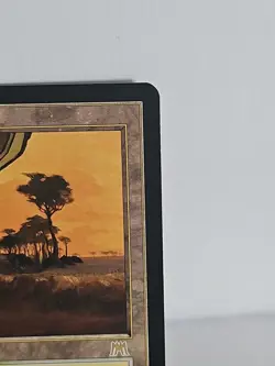 Mtg 🌟🌟 Windswept Heath 🌟🌟 Onslaught 🔥 RARE 🔥 MT/NM Magic The Gathering - Image 3