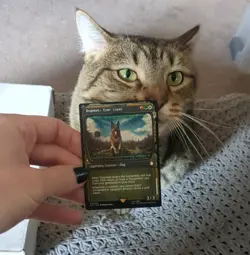 MTG: Dogmeat, Ever Loyal SHOWCASE #340, NM Universes Beyond: Fallout Chase Card - Image 2