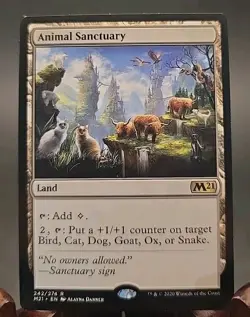 Animal Sanctuary Core Set 2021 MTG Regular Near Mint - Image 1