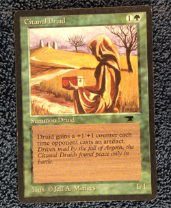 CITANUL DRUID uncommon 1994 ANTIQUITIES Magic the Gathering - Image 5