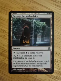 MTG - Rogue's Passage - Return to Ravnica - French Edition - Image 1