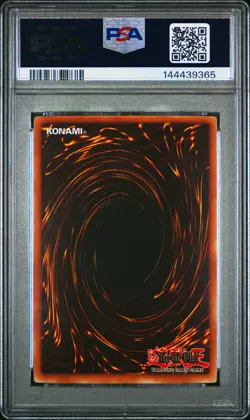 2002 YU-GI-OH! LOB-LEGEND OF BLUE EYES WHITE DRAGON #077 M-WARRIOR #2 PSA 8 - Image 2