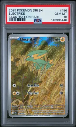 2025 POKEMON DRI EN-DESTINED RIVALS ILLUSTRATION RARE #196 ELECTRIKE PSA 10 - Image 1