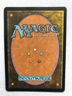 Mtg Carte Magic Lorwyn Wort Boggart Auntie French LP - Image 2